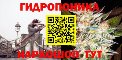 индика Азнакаево