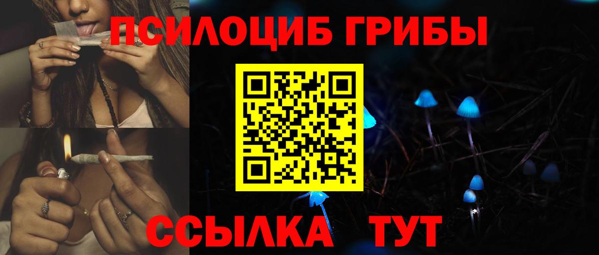 Псилоцибиновые грибы Psilocybe Алатырь